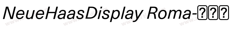 NeueHaasDisplay Roma字体转换